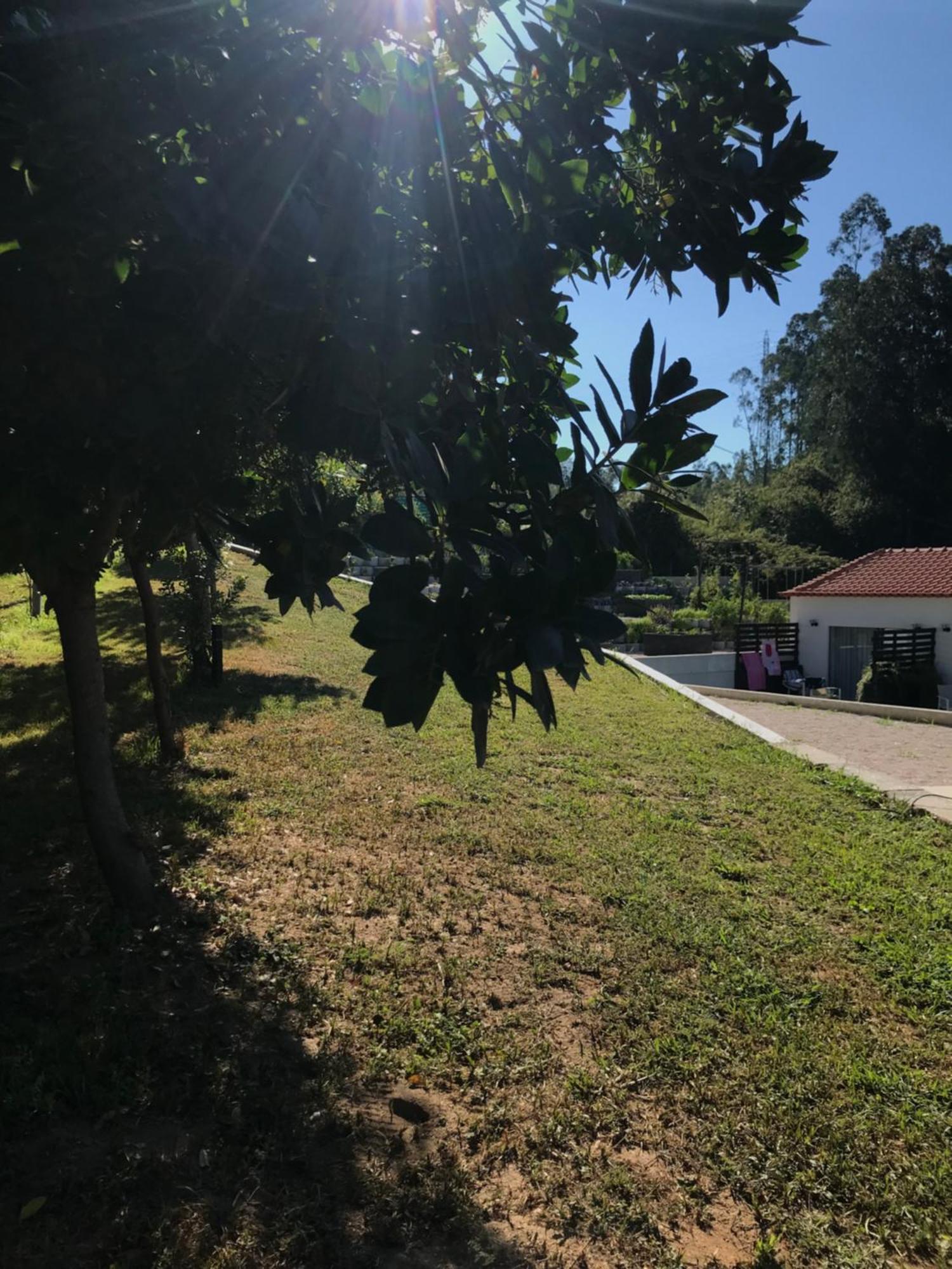 Casa Da Milheira - Agroturismo Oliveira de Azeméis Eksteriør billede
