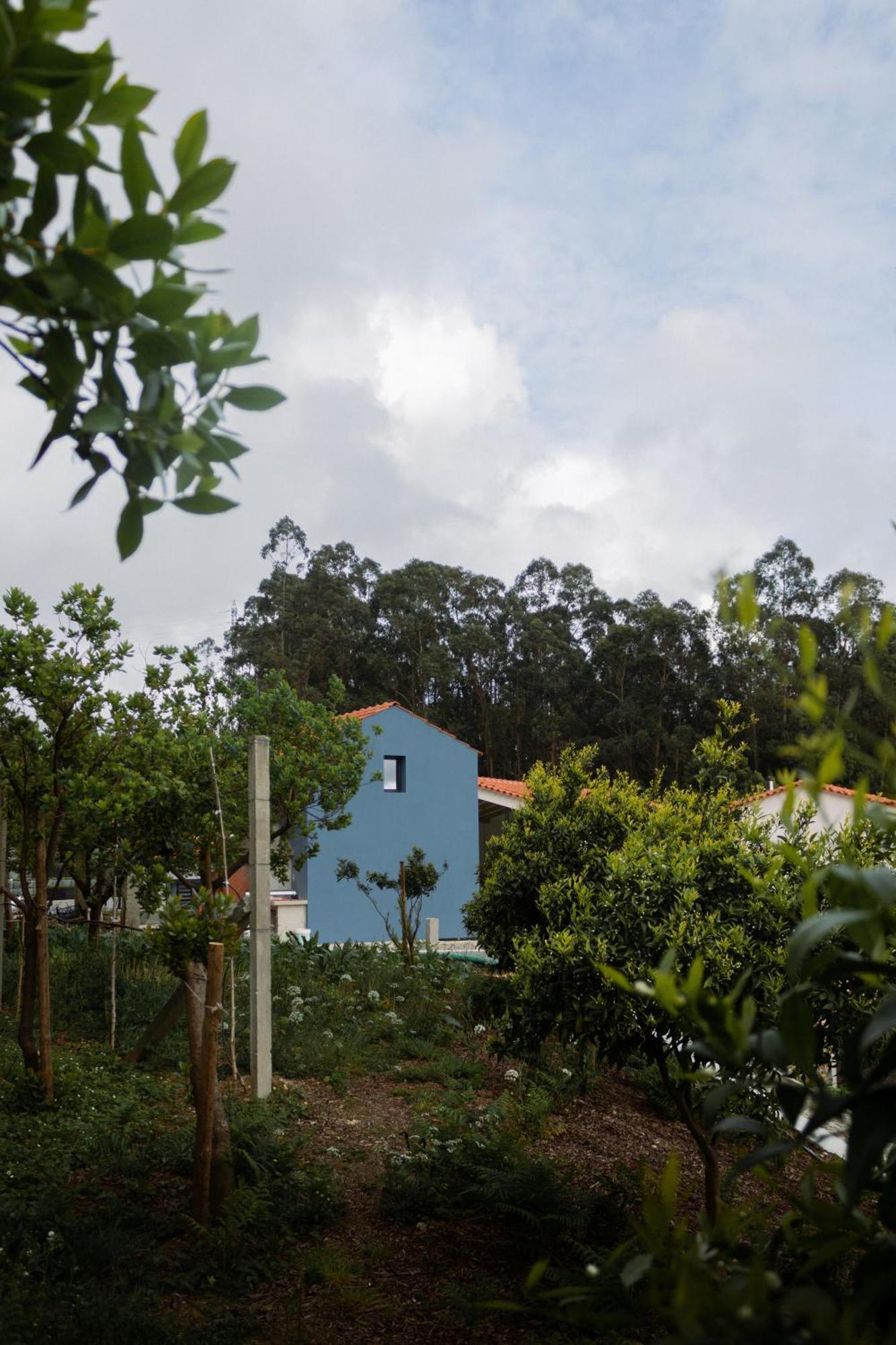 Casa Da Milheira - Agroturismo Oliveira de Azeméis Eksteriør billede