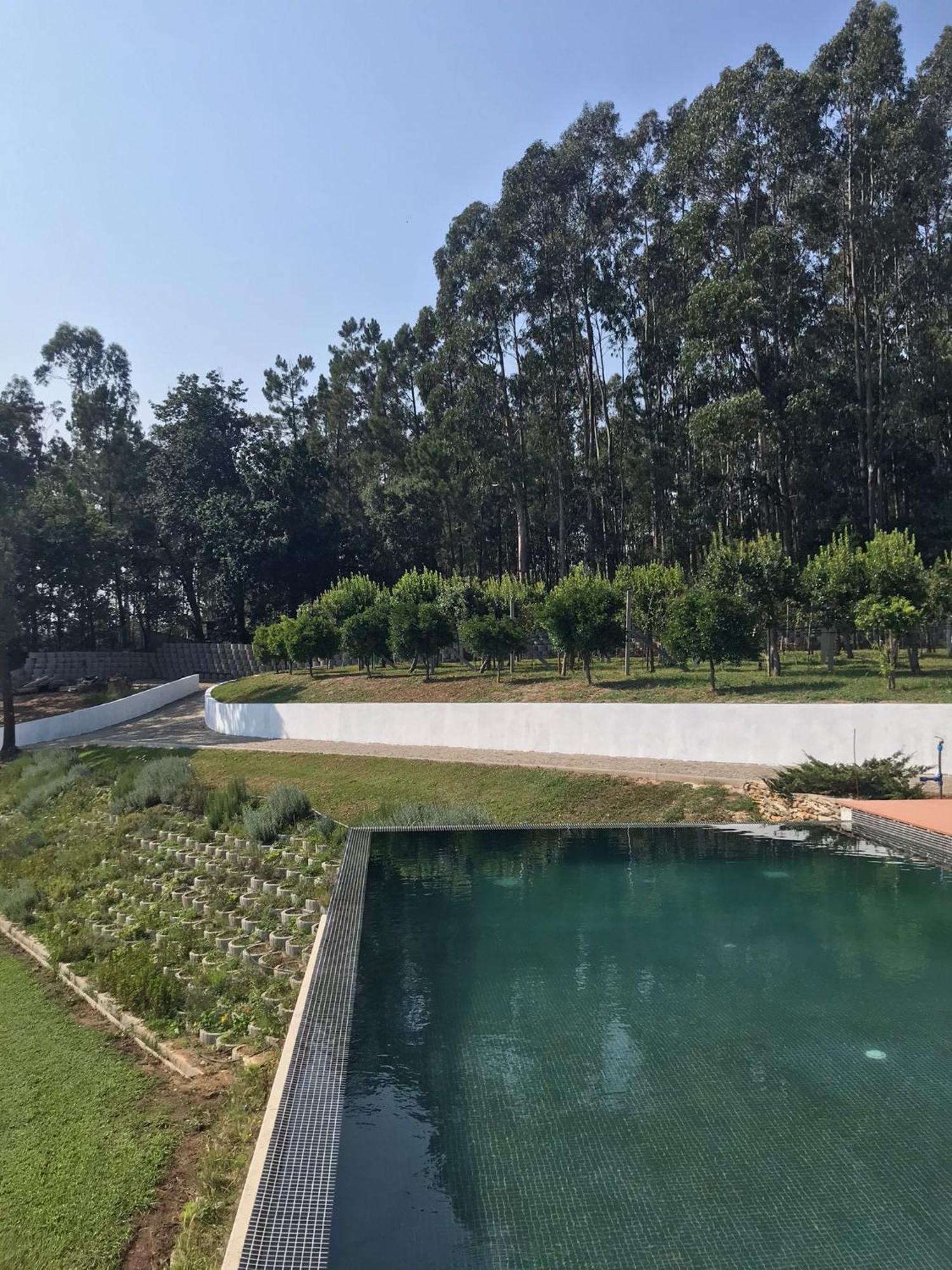 Casa Da Milheira - Agroturismo Oliveira de Azeméis Eksteriør billede