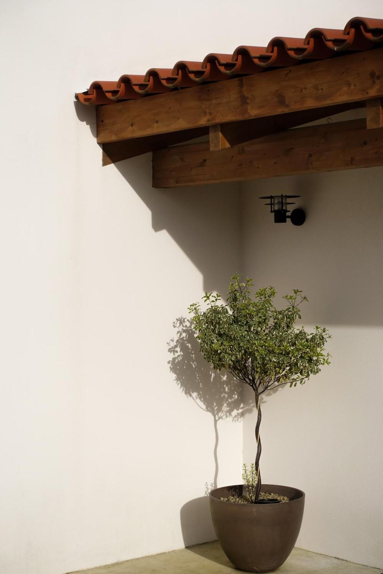 Casa Da Milheira - Agroturismo Oliveira de Azeméis Eksteriør billede