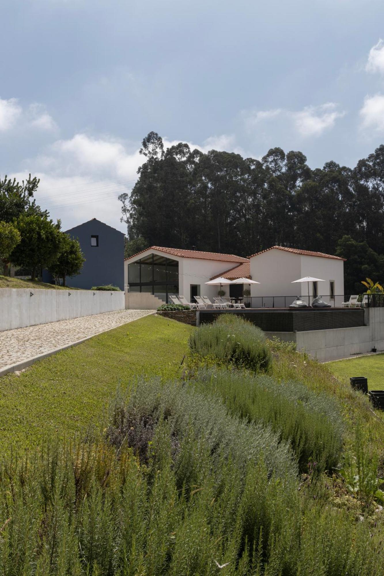 Casa Da Milheira - Agroturismo Oliveira de Azeméis Eksteriør billede